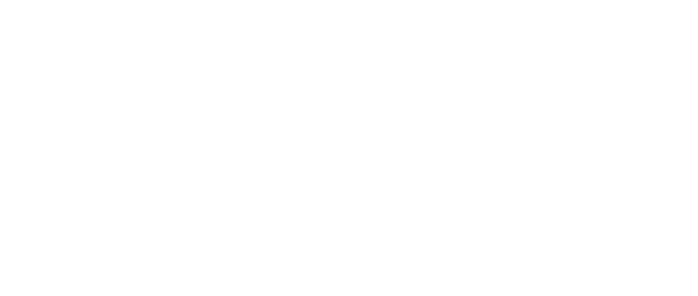 The Intelligence Practice